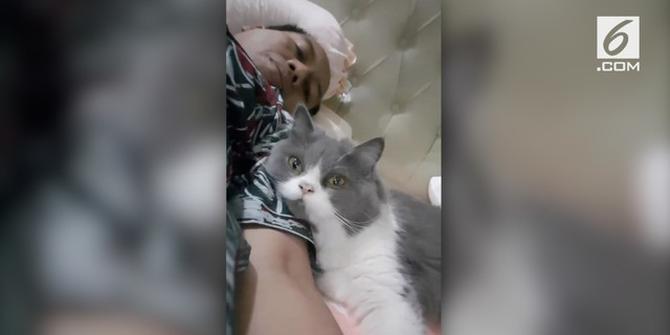 VIDEO: Sutopo Pamer Kucing, Warganet Salah Fokus