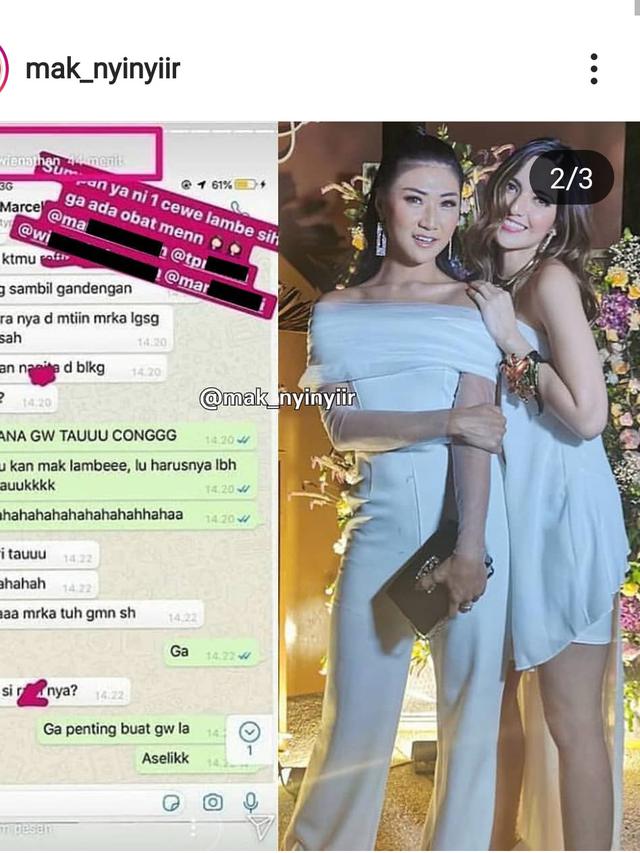 Isi Percakapan Theresa Wienathan