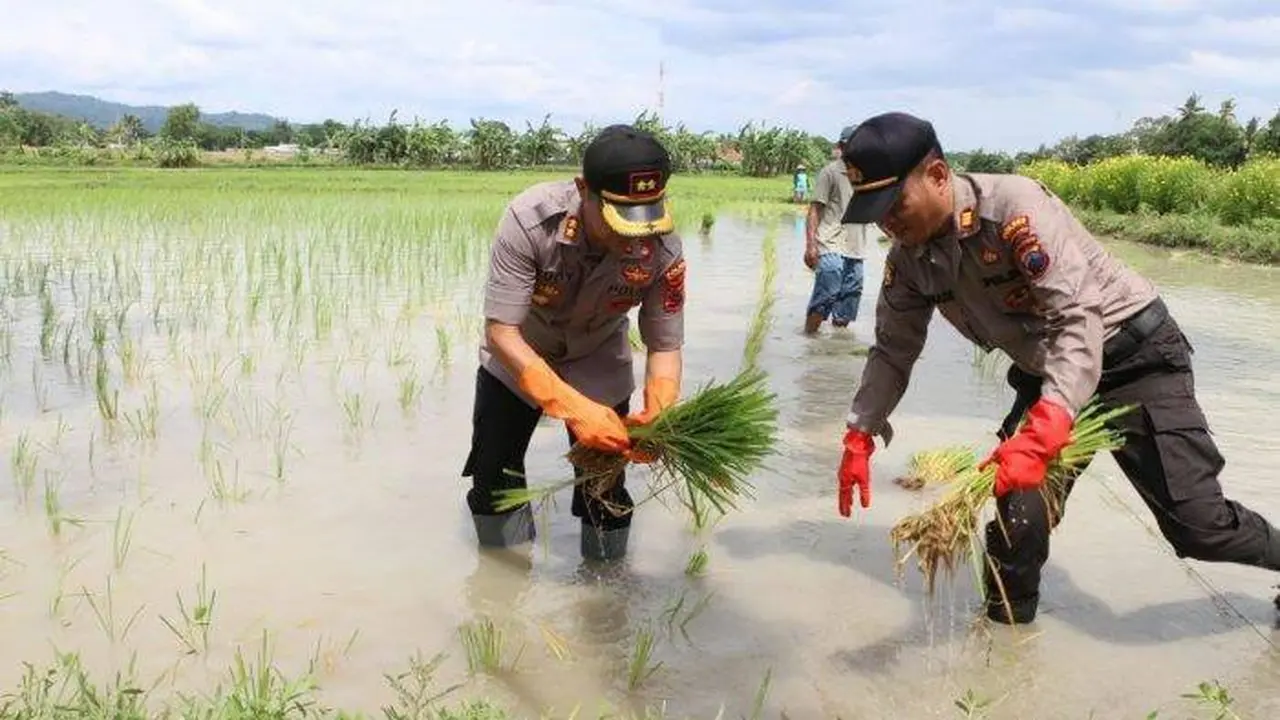 Bersama Masyarakat, Polri Wujudkan Program Ketahanan Pangan di tengah Pandemi Covid-19