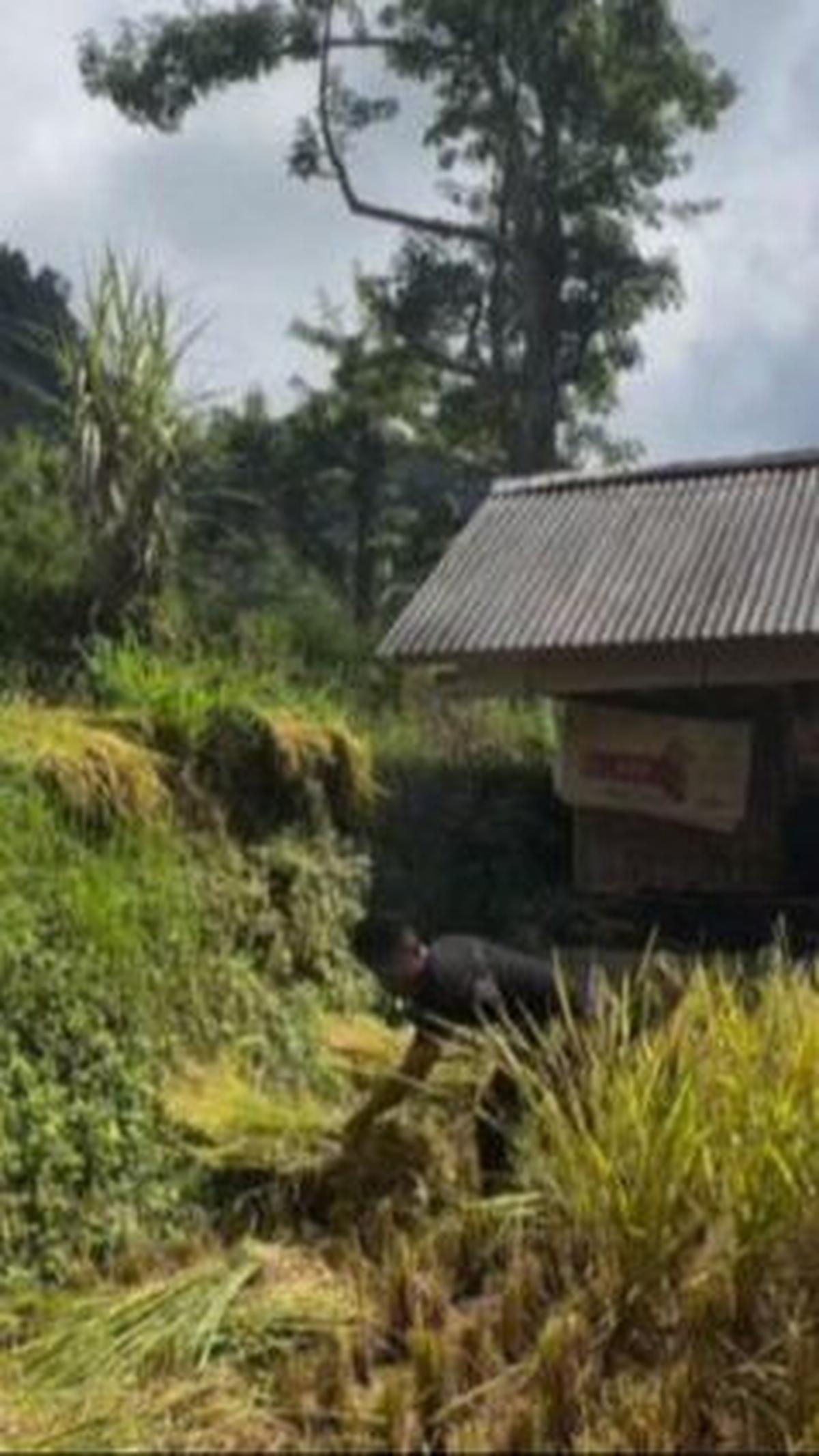 Pernah Bekerja sebagai Asisten Rumah Tangga <br>