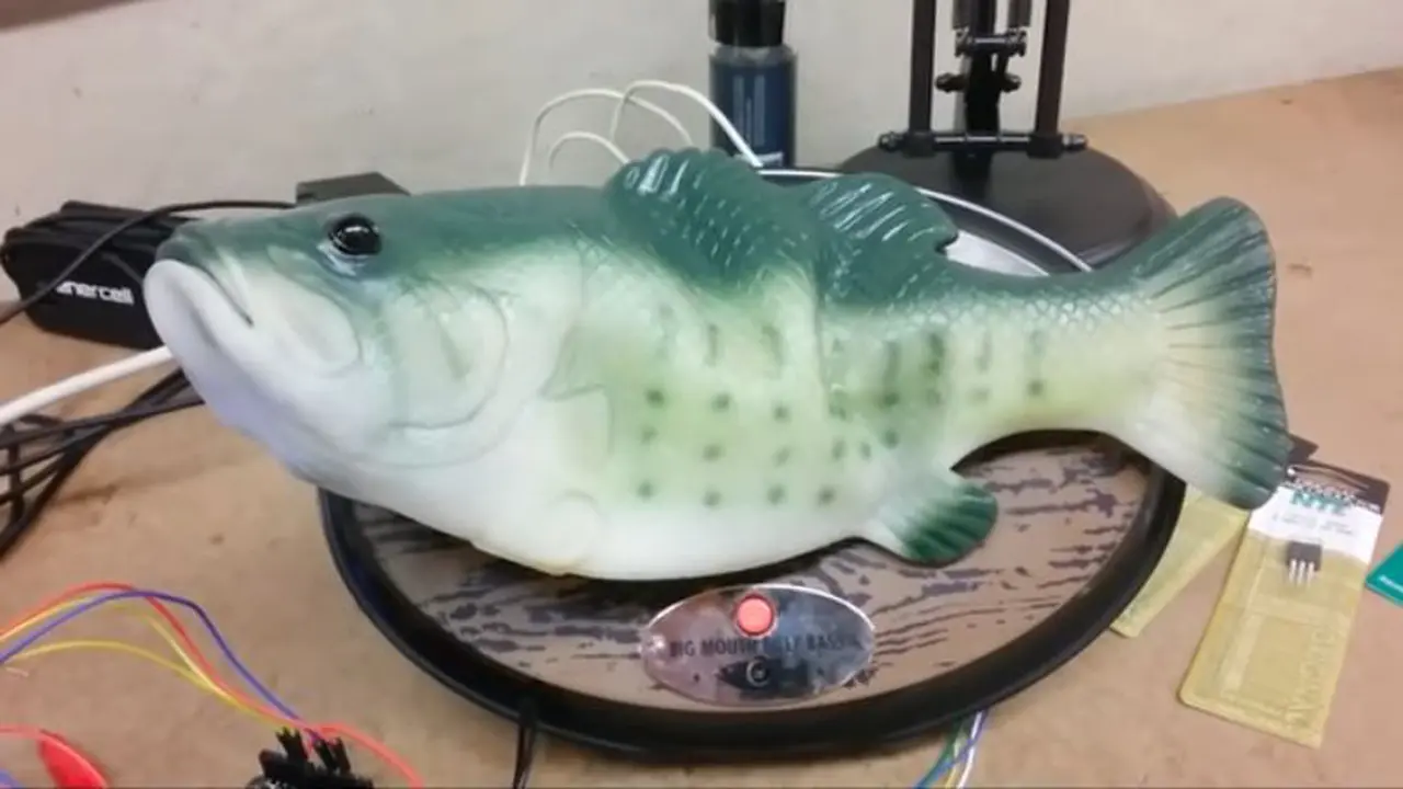 [Bintang] Bukan Berenang, Ikan Ini Jago Tebak Cuaca Terkini!