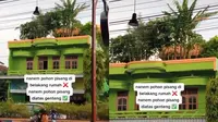 Viral Pohon Pisang Ditanam di Atas Genteng, Bikin Netizen Heboh (Sumber: TikTok/@apipah165)