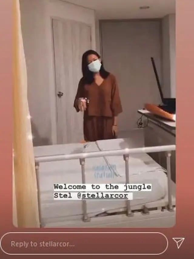 Stella Cornelia Istri Fendy Chow Positif Covid-19, Ini 5 Faktanya