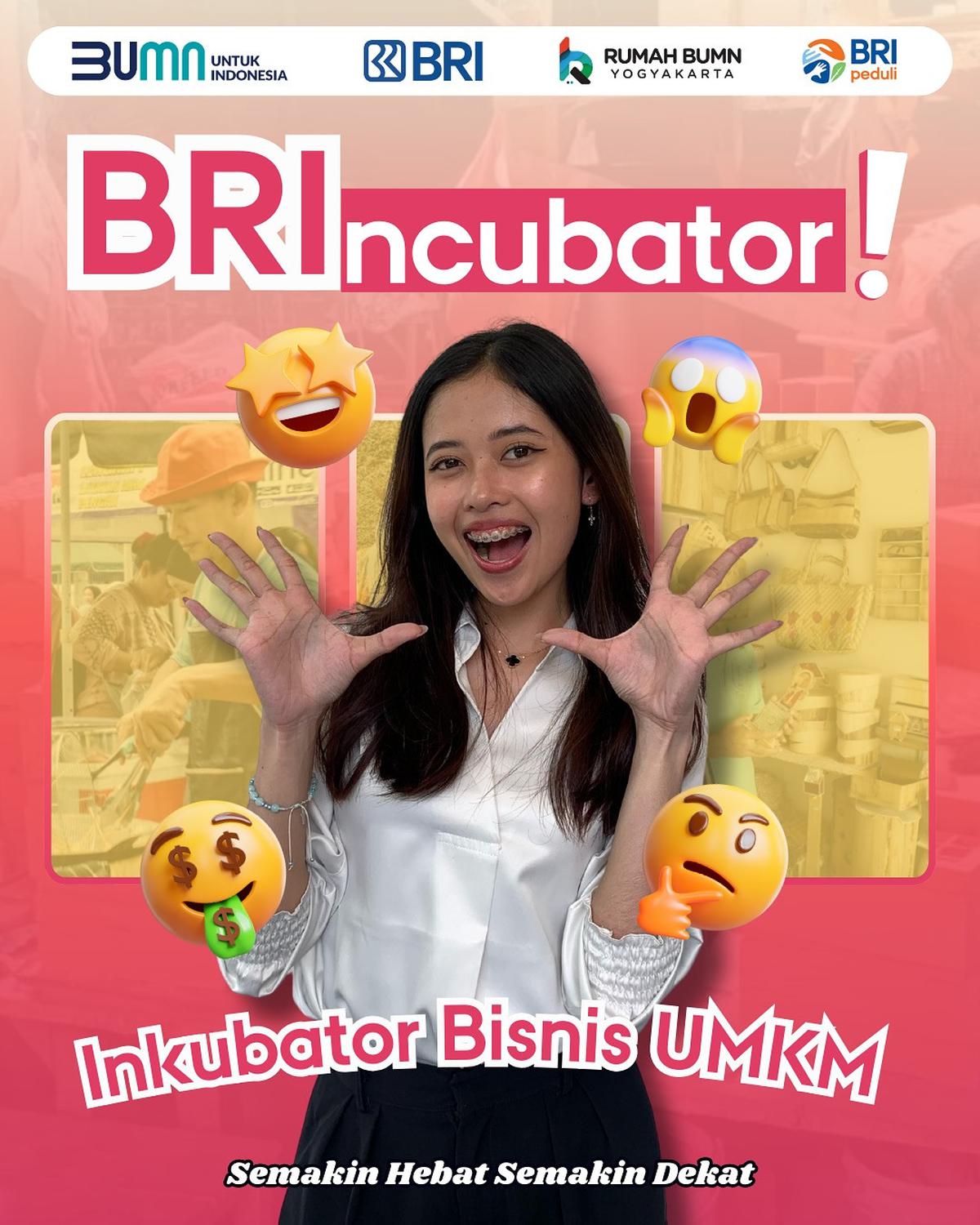 Program BRIncubator 2025