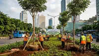 375 Pohon Instan Ditanam di Jakarta Pusat, Jaga Ruang Terbuka Hijau
