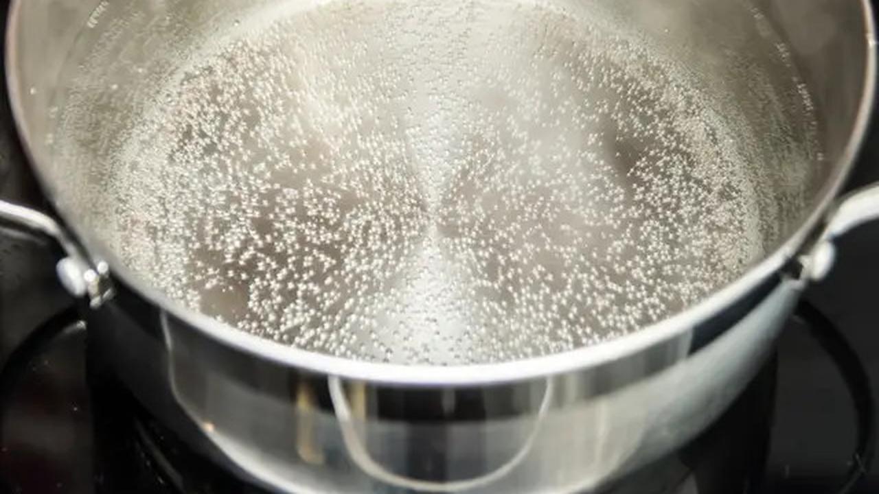 Rahasia Memasak Mi Kuning Goreng Agar Tidak Mudah Basi