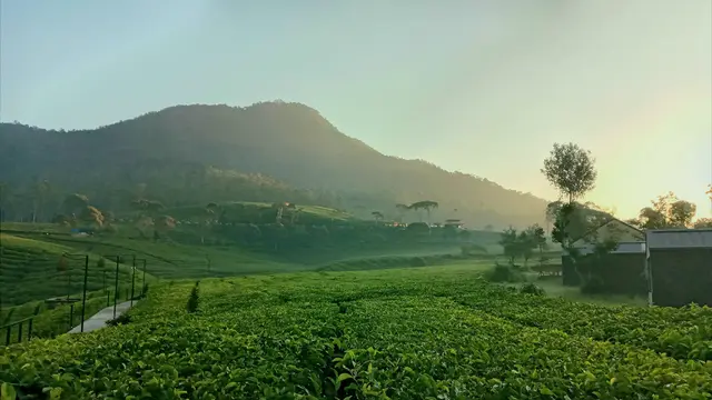 Pemandangan Alam di Bobocabin Pangalengan, Bandung