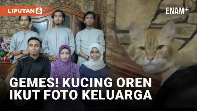 Tingkah lucu kucing kembali menjadi sorotan. Kali ini seekor kucing oren di Malaysia viral. Lantaran si kucing tiba-tiba muncul dan ikut berpose di foto keluarga.