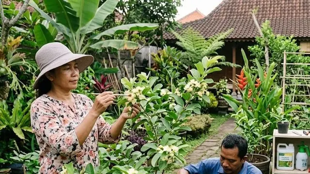 Cara Mengatasi Jambu Biji yang Berbunga tetapi Tidak Jadi Buah (AI Generated)