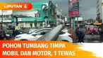 Pohon palem setinggi 30 meter di Pondok Indah, tiba-tiba saja tumbang saat lalu lintas tengah ramai. Akibatnya sebuah mobil tertimpa hingga ringsek di bagian atas. Masih di lokasi yang sama, sebelumnya pohon timpa pengemudi ojol hingga tewas.