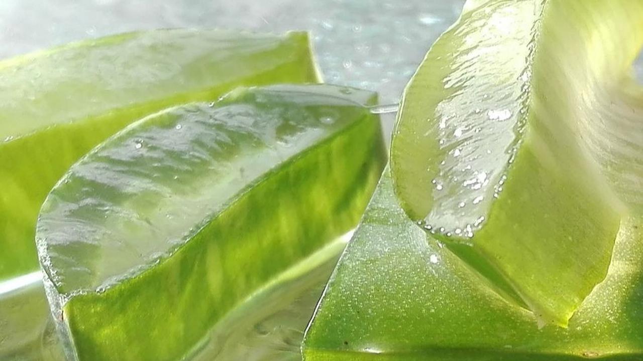 Mengatasi Kulit Terbakar
