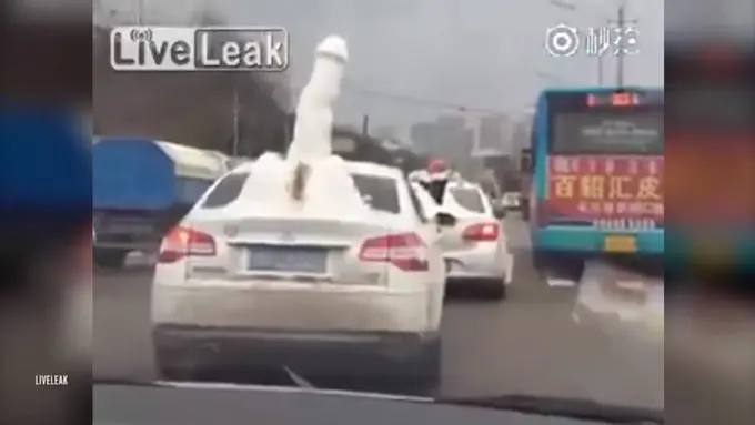 Salju Penis Raksasa Keliling Jalan Raya di Cina, Ini Rekamannya!