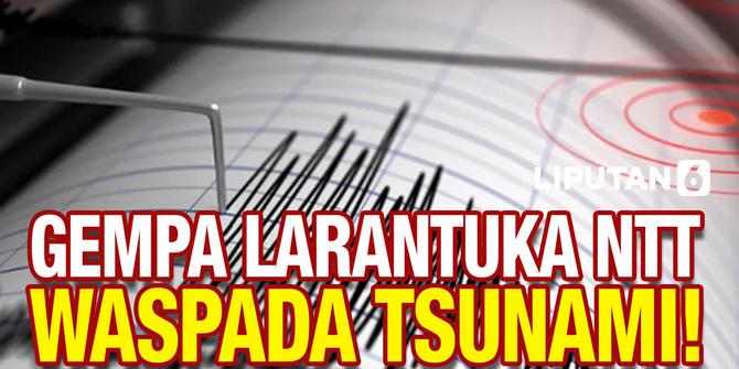 VIDEO: Gempa M 7,5 di Larantuka NTT, 5 Wilayah Waspada Tsunami