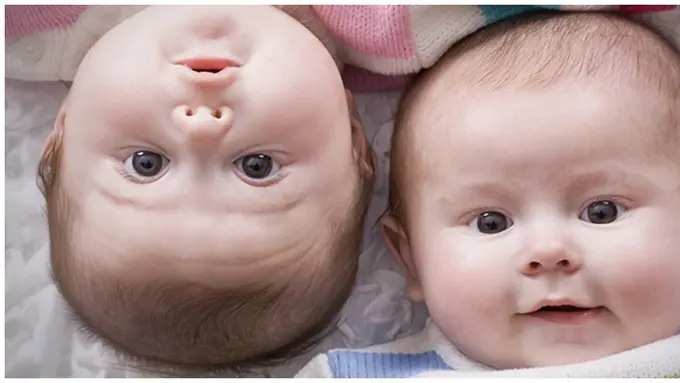 copyright by Shutterstock.com