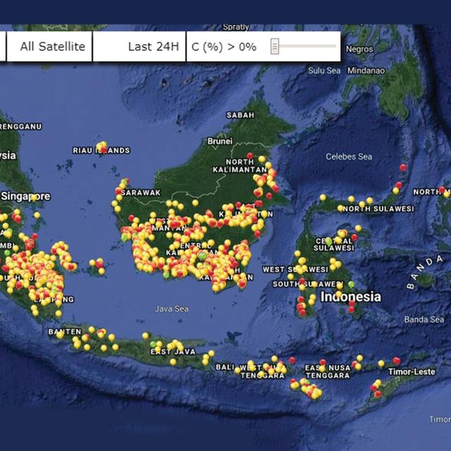 Teks Tanggapan Kritis Tentang Kebakaran Hutan Terkait Teks