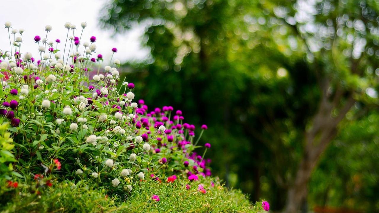 Kutabawa Flower Garden