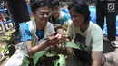 Peserta mencoba teknik cangkok saat mengikuti kegiatan belajar bersama taruna tani di areal pertanian Karang Taruna Cibinong, Bogor, Kamis (22/11). Kegiatan ini guna mengembangkan kemandirian ekonomi di bidang pertanian. (Merdeka.com/Arie Basuki)