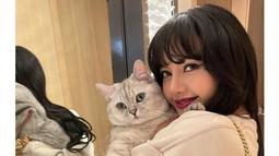 Lisa Blackpink dan kucingnya. (Instagram/ lalalalisa_m)