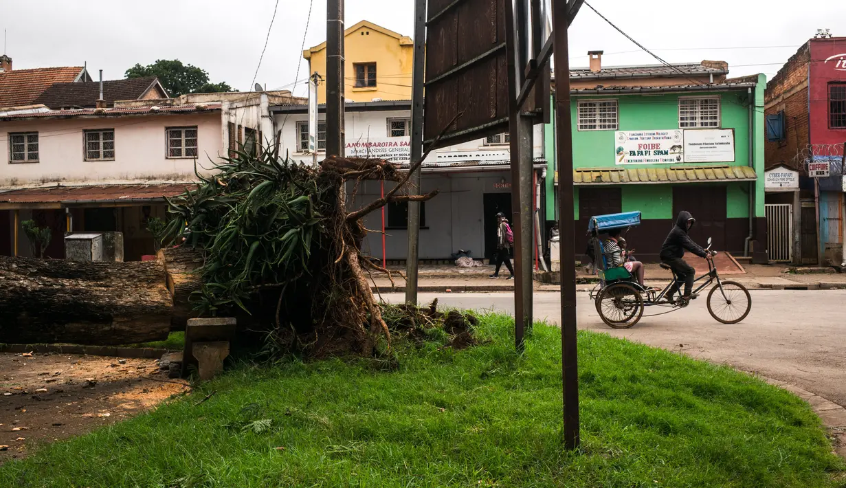 Seorang pria mengendarai becak yang membawa pelanggan melewati pohon tumbang yang tumbang di taman umum di pusat Antsirabe setelah berlalunya topan Batsirai pada 6 Februari 2022. Sedikitnya enam orang dan membuat hampir 48.000 orang mengungsi ketika Topan Batsirai melanda Madagaskar. (RIJASOLO/AFP)