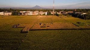 Kekeringan Rusak Ribuan Hektare Sawah di Aceh Besar