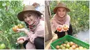 Pernah ungkap dunia pertanian sangat menyenangkan, mantan anggota JKT48 itu juga diketahui mempunyai lahan pertanian plasma di Cianjur. Melody Laksani yang aktif di bidang pertanian membuatnya disebut lebih cocok menjadi Duta Pertanian Milenial daripada Lesti Kejora. Meski Melody dan Lesti Kejora bersahabat, namun netizen tetap membandingkan keduanya, apalagi dari soal pencapaian. (Liputan6.com/IG/@melodylaksani92)