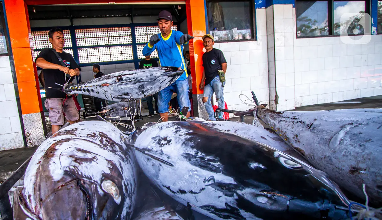 Kebijakan PIT diharapkan berdampak pada Penerimaan Negara Bukan Pajak (PNBP) pascaproduksi sekitar Rp 1,6 triliun sampai Rp 2,5 triliun dalam kurun waktu satu tahun. (Liputan6.com/Angga Yuniar)