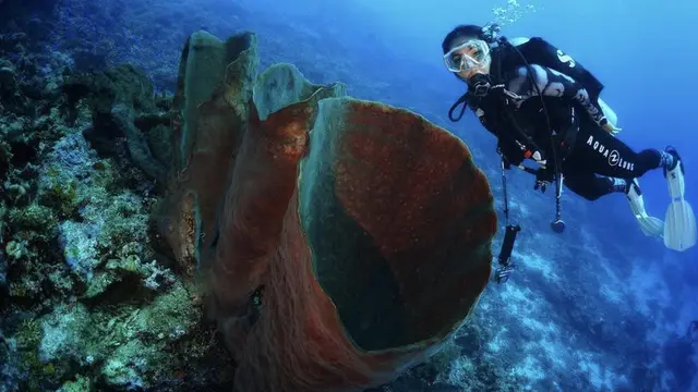 Potret Gisel Liburan di Laut dari Diving Hingga Menikmati Sunsrise/dok. gisel_la