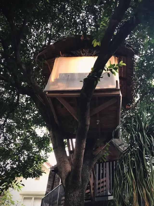 Rumah pohon Cakra Khan