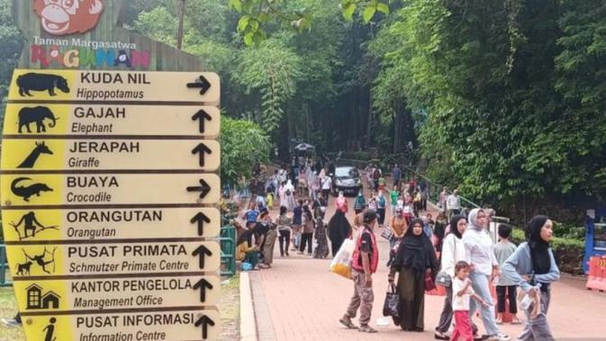 Ragunan Permudah Eksplorasi: Petunjuk Arah Kandang Satwa Akan Diperbanyak