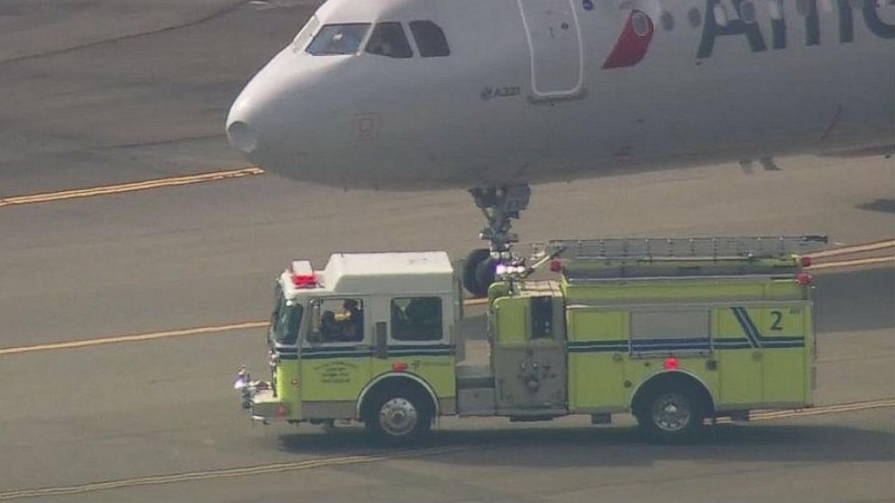 Menabrak Burung, American Airlines Putar balik