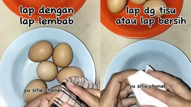Tak Perlu Masuk Kulkas, Begini Trik Simpan Telur Agar Tetap Awet hingga 5 Minggu