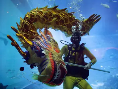 Penyelam saat melakukan pertunjukan barongsai naga pada pengunjung South East Asia Aquarium di Resorts World Sentosa, Singapura, Rabu (25/1). Pertunjukan barongsai di bawah permukaan laut itu untuk menyambut Tahun Baru Imlek 2568. (AP Photo/Wong Maye-E)