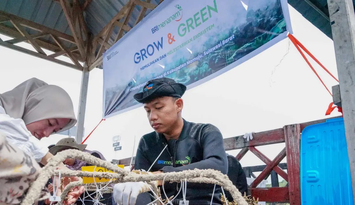 Dalam program ini, BRI berkomitmen mendukung dan menjaga ekosistem dengan biodiversitas laut yang tertinggi dibanding ekosistem laut lainnya, melindungi pantai dan daerah pesisir, serta mengurangi pemanasan global. (Dok BRI)