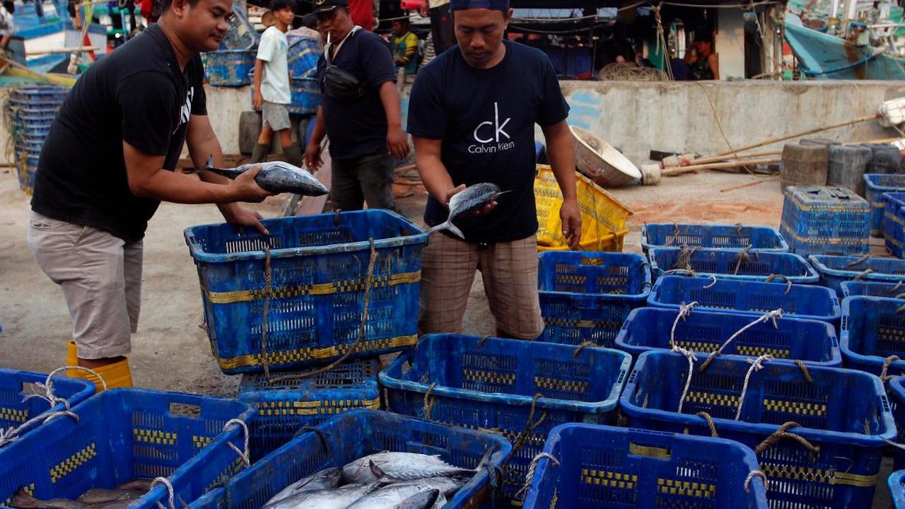 PT Perikanan Indonesia sudah mengantongi permintaan ekspor setiap bulan untuk komoditas ikan tuna loin, cakalang, gurita dan ikan layang.