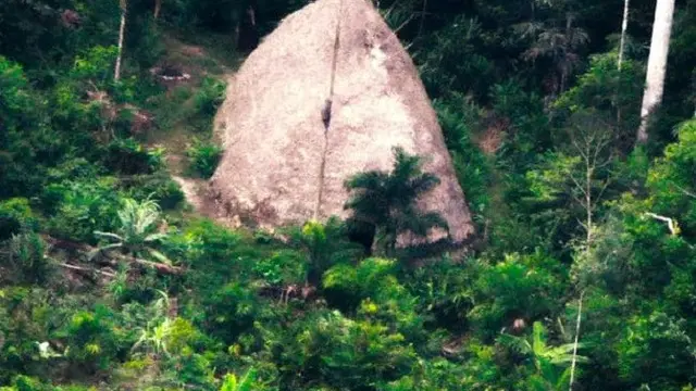 Kawasan Amazon