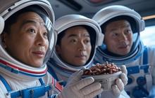 China Kirim Tiga Astronot ke Luar Angkasa Bawa Cacing, Ternyata untuk Tujuan Mulia