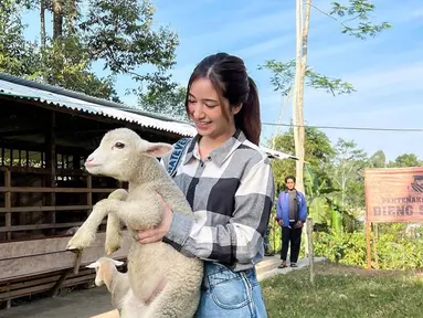 Wonosobo, Jawa Tengah, memang menjadi salah satu tempat untuk menikmati liburan di alam. Di sini bisa menikmati indahnya pegunungan dan danau yang indah. Bahkan ada pula peternakan domba yang lucu sehingga bikin gemas. (Liputan6.com/IG/@danniasalsabilla)