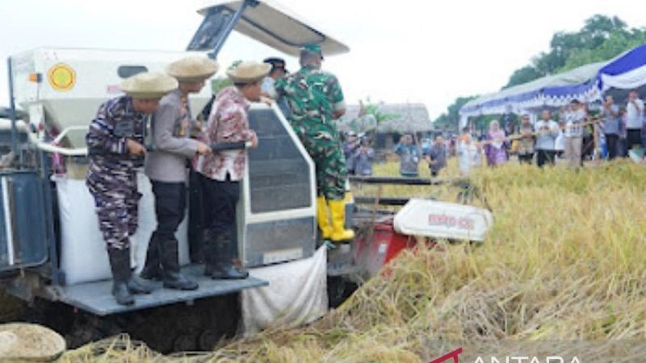 Fakta Unik! Banjarmasin Gelar Rembuk Tani, Pertahankan Ketahanan Pangan dengan Lahan di Bawah Permukaan Laut