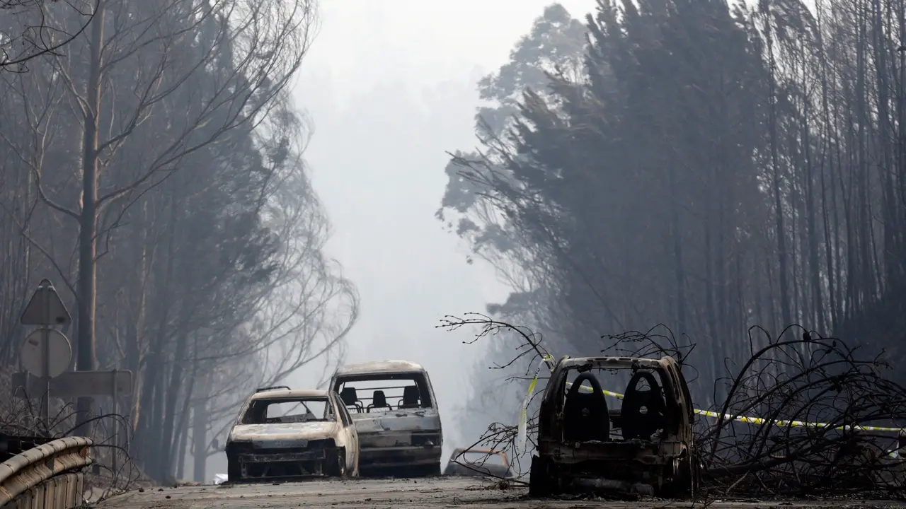 20170618-Sisa-sisa Kebakaran Hutan Terburuk di Portugal-AP