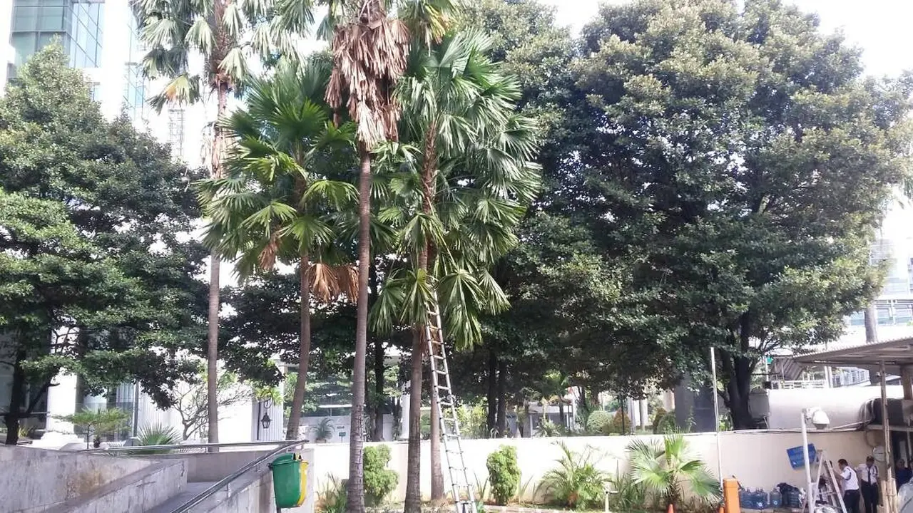 20170625-KPK-Jakarta-Tawon