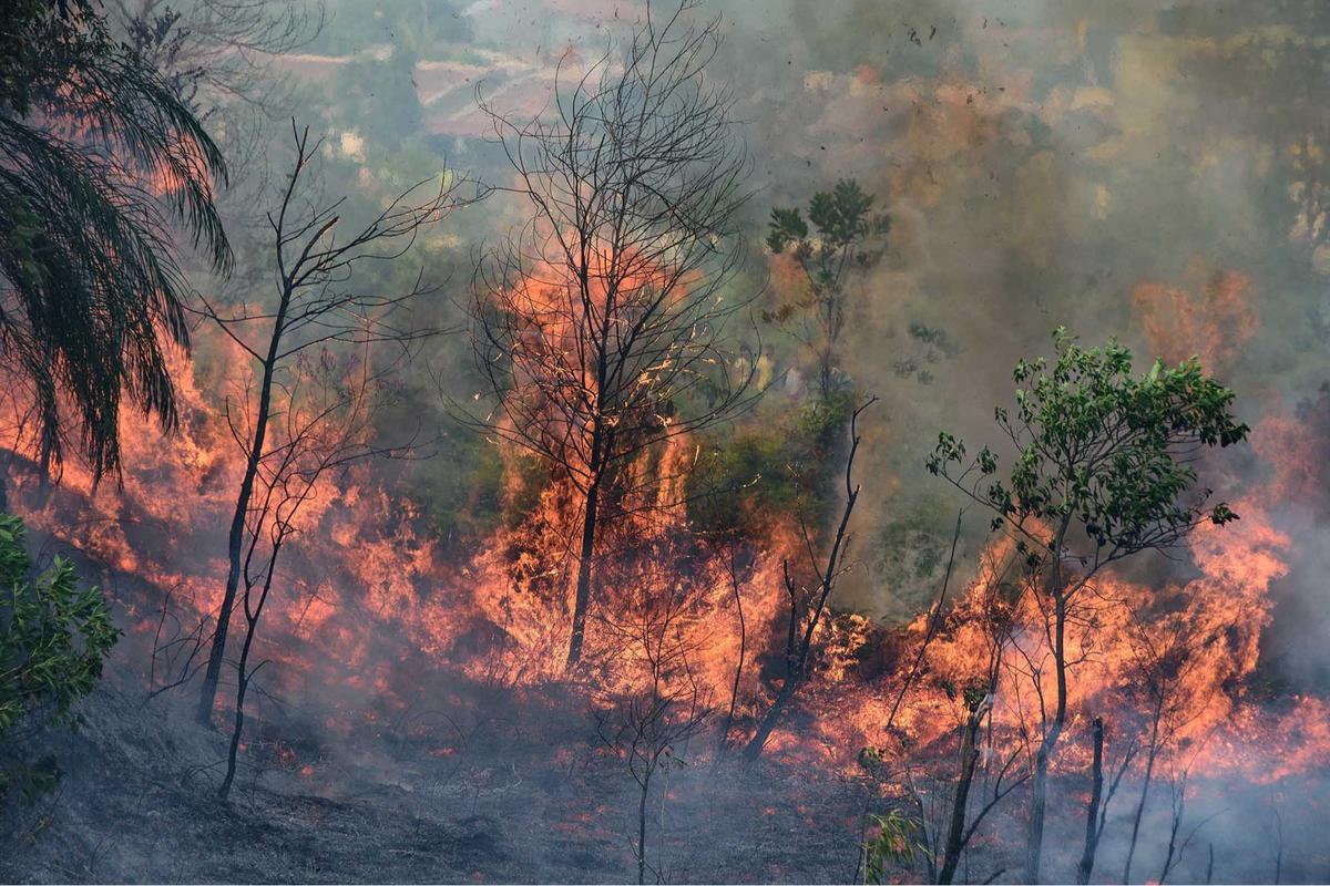 FOTO: Karhutla Ancam Rumah Warga di Riau