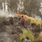 Kebakaran Gunung Bromo Berulang, Kemenhut Selidiki Dugaan Tindak Pidana