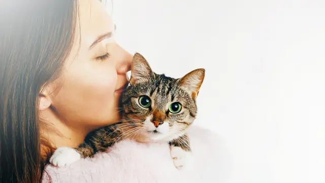 Ilustrasi kucing.