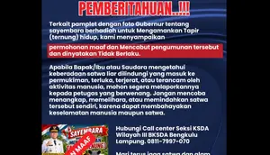 Sayembara Tangkap Tapir Berhadiah Rp 50 Juta Dicabut, Ini Penjelasan BKSDA