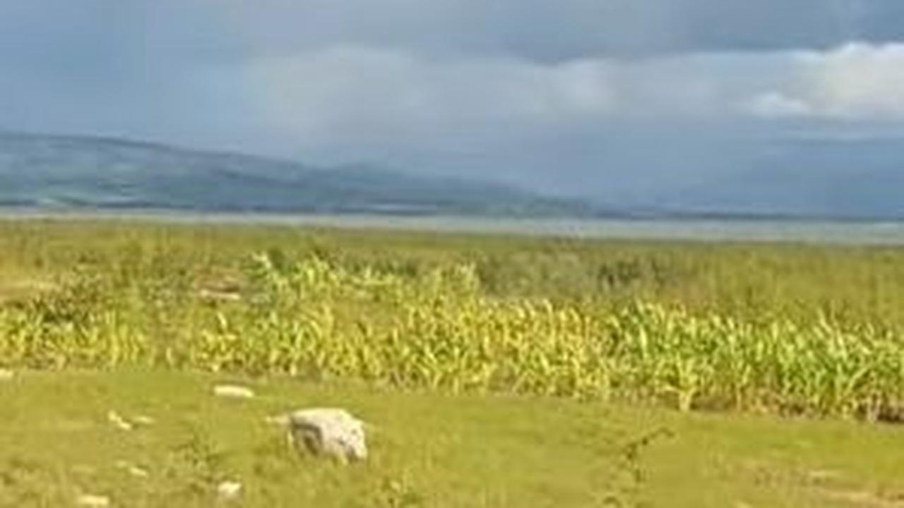 Menilik Desa Sekar Gumiwang yang Berada di Tengah Waduk Gajah Mungkur, Sempat Muncul saat Musim Kemarau