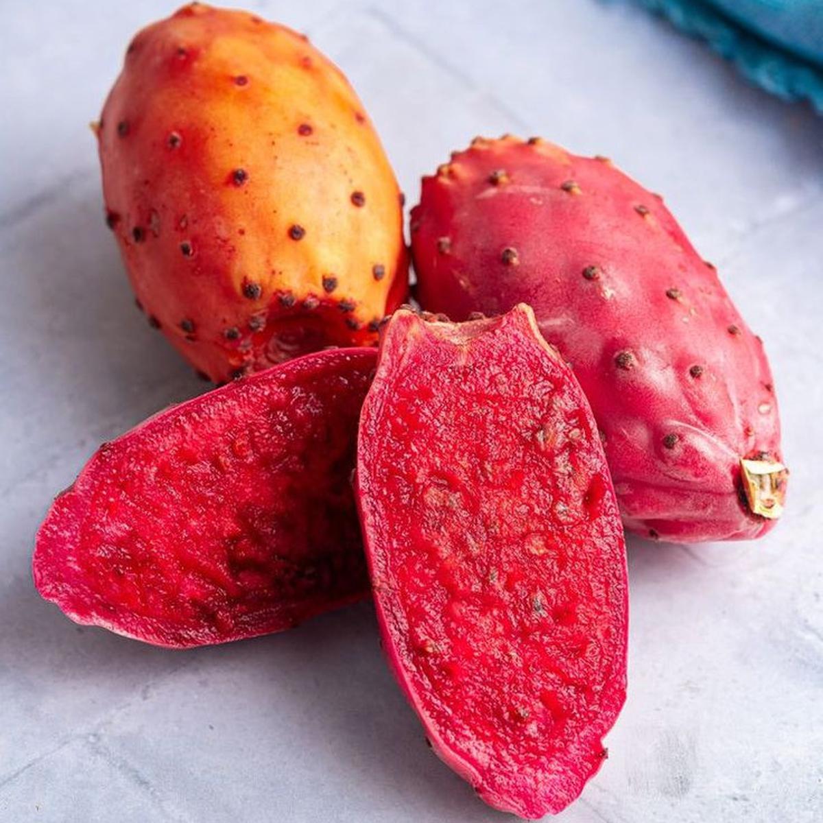 Ilustrasi Prickly Pear Buah Asli Meksiko (©Pinterest)