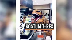 THUMBNAIL TREX
