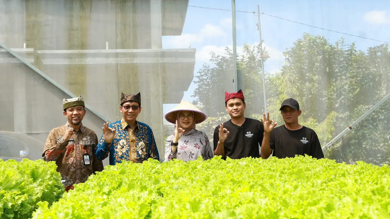 Kisah Saiful dan Ferdiansyah, Petani Muda Banyuwangi yang Panen Cuan dari Selada Hidroponik