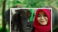Segmen 3: Penyebab Dokter Hewan Tewas hingga Bulldog Berselancar