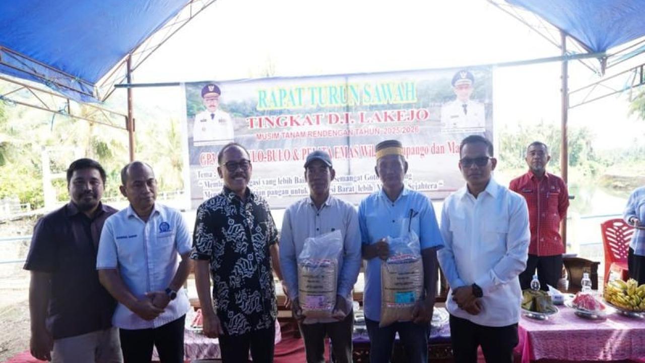 Produksi Gabah Sulawesi Barat Melonjak Hingga 9 Ton/Hektare, Kunci Kesejahteraan Petani Terkuak